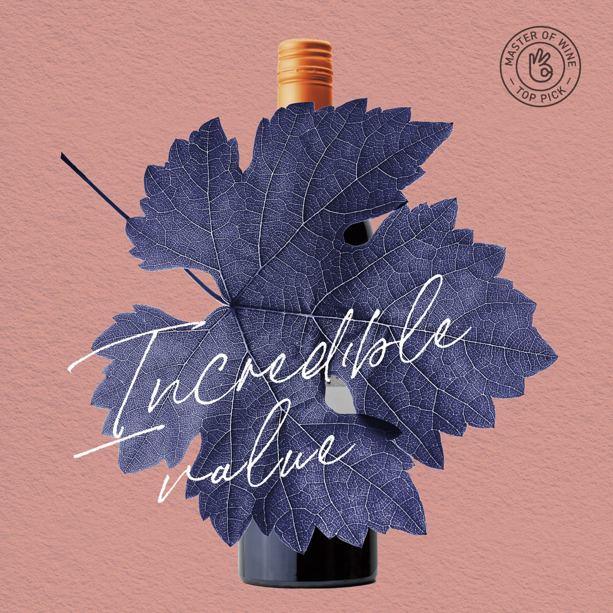 MYSTERY GEM | CLARE VALLEY, CABERNET SAUVIGNON 2021