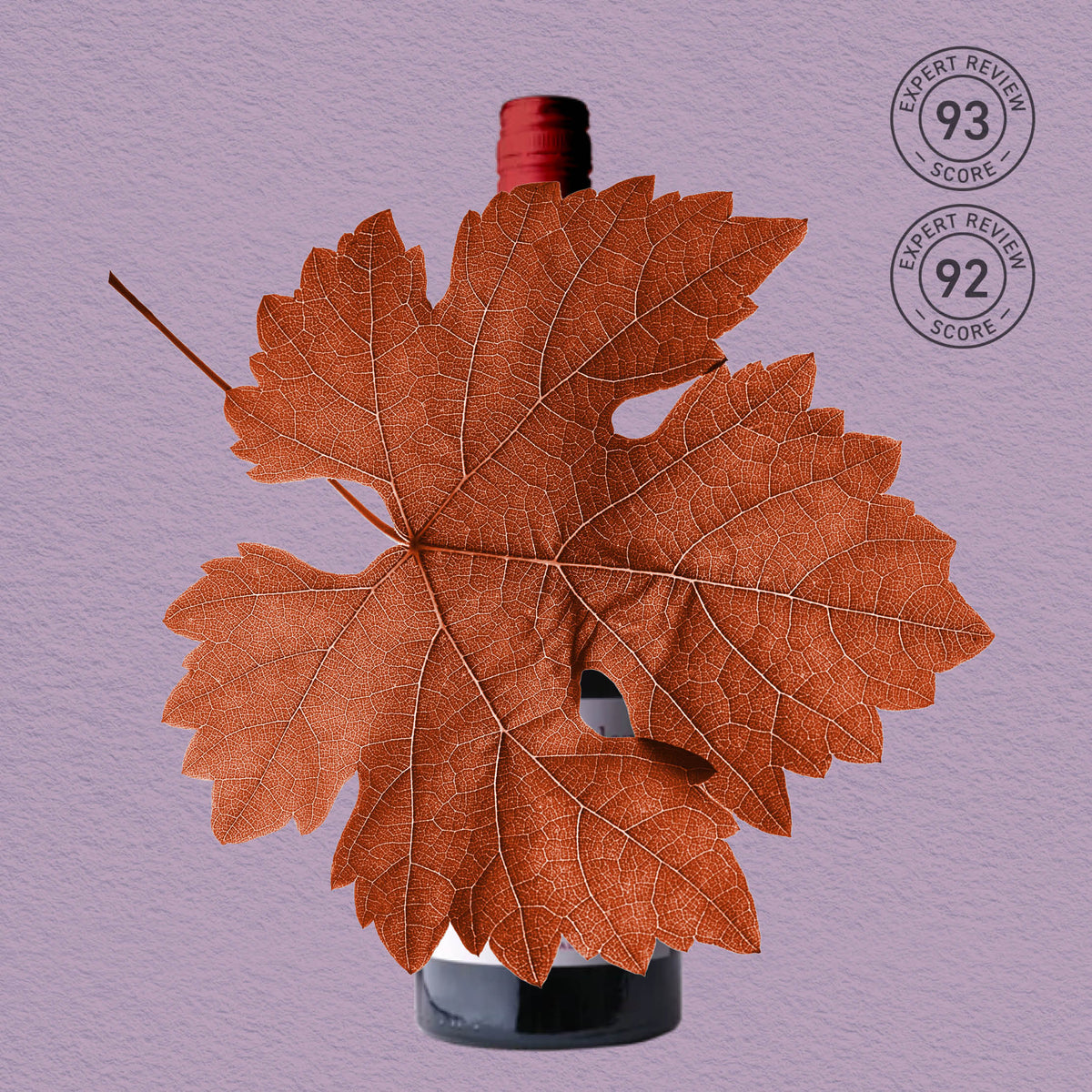 MYSTERY GEM | CLARE VALLEY, SHIRAZ 2021