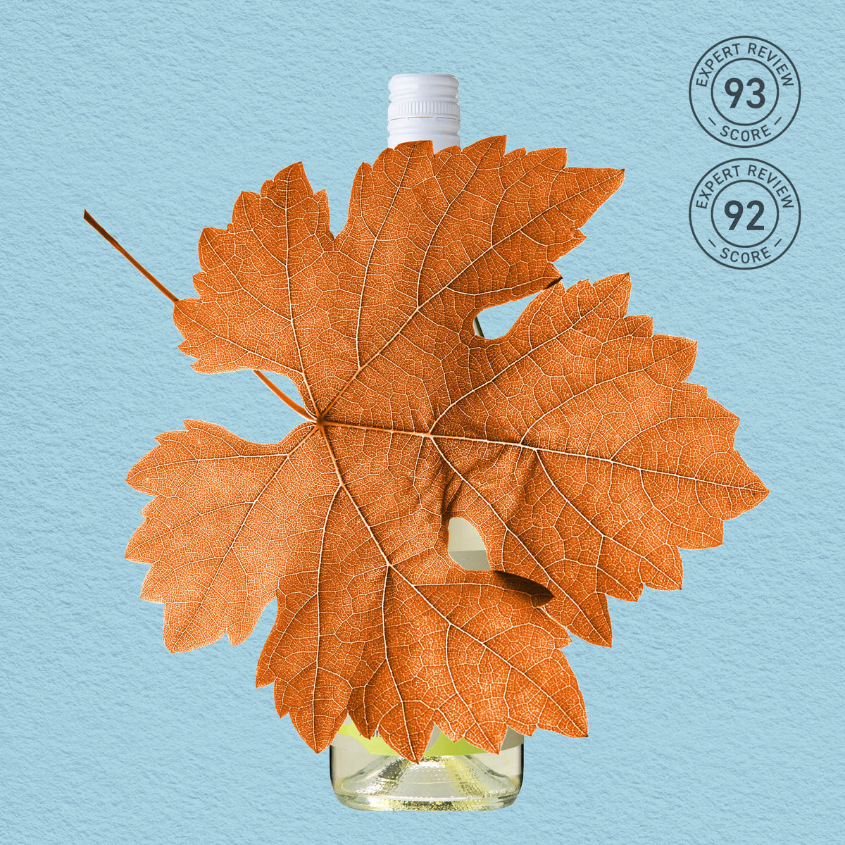 MYSTERY GEM | EDEN VALLEY, PINOT GRIS 2025