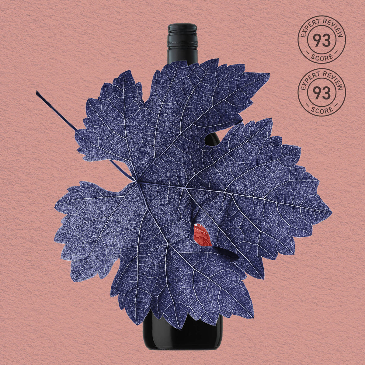 MYSTERY GEM | GREAT SOUTHERN, CABERNET SAUVIGNON 2021