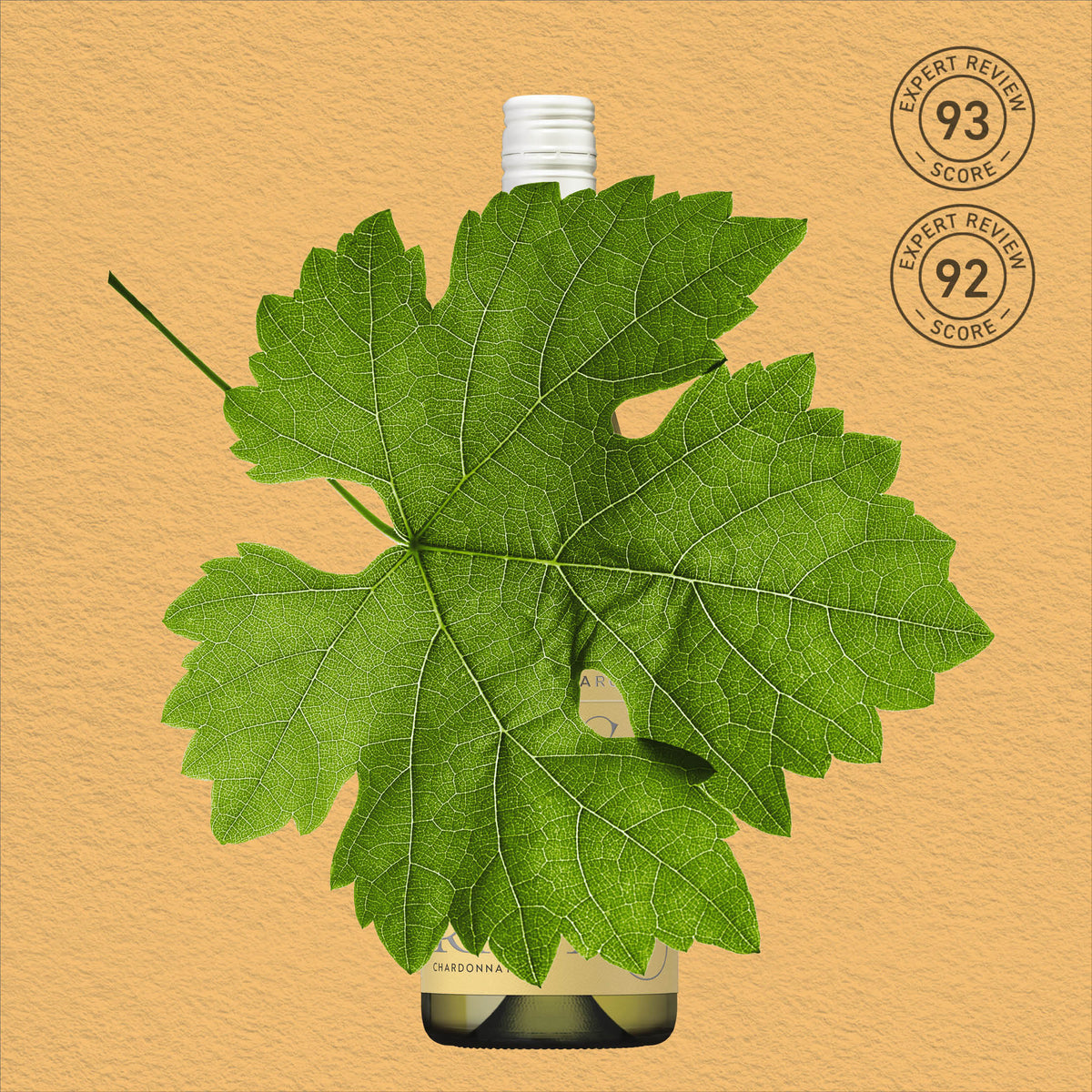 MYSTERY GEM | MARGARET RIVER, CHARDONNAY 2023