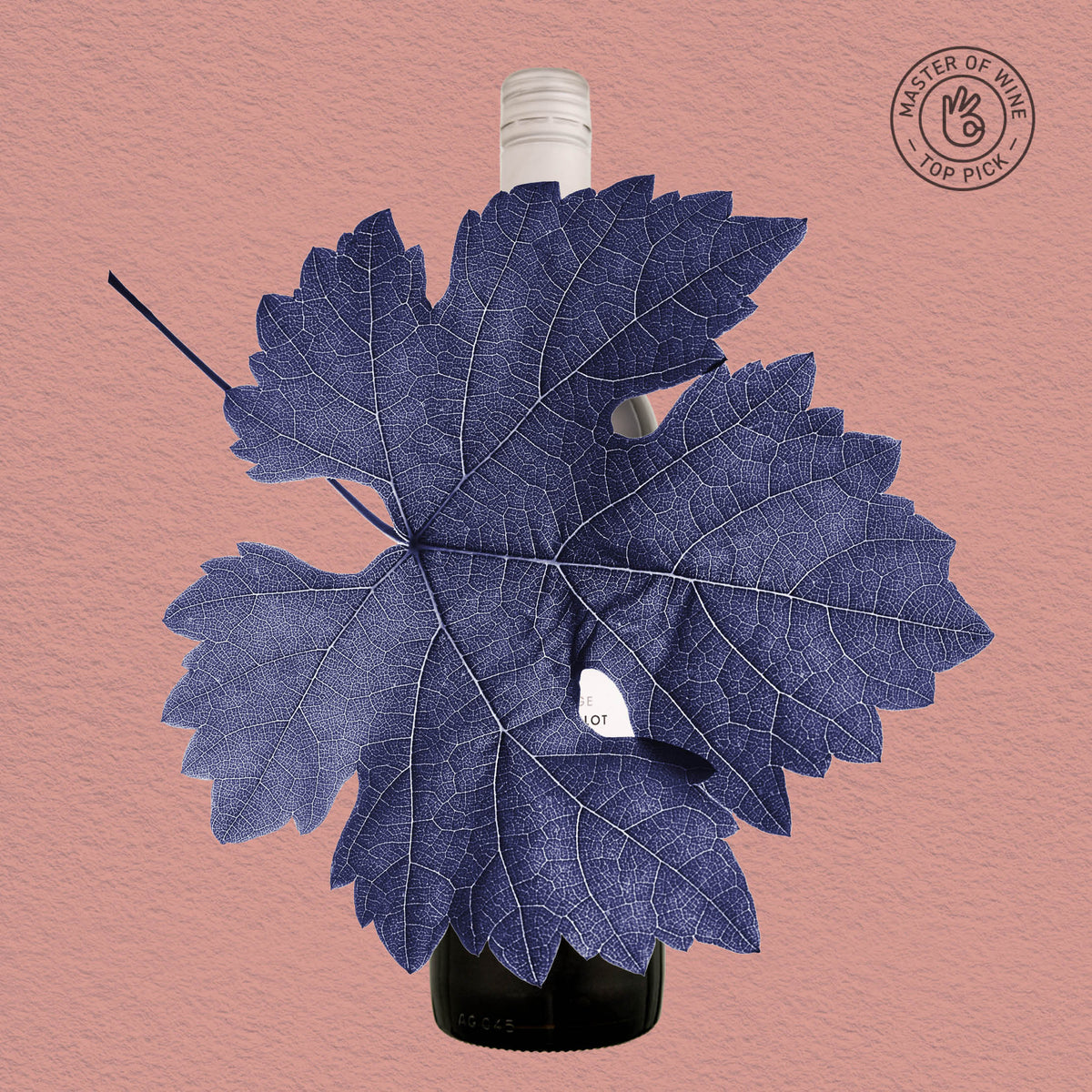 MYSTERY GEM | MARGARET RIVER, CABERNET MERLOT 2022