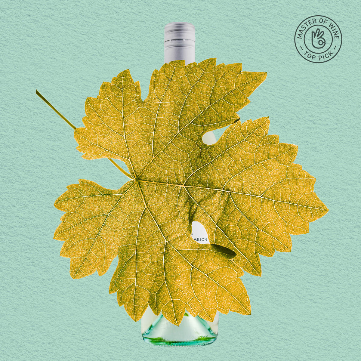 MYSTERY GEM | MARGARET RIVER, SAUVIGNON BLANC SEMILLON 2023