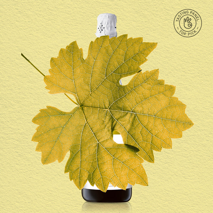 Bottle of wine with a large yellow leaf on a yellow background