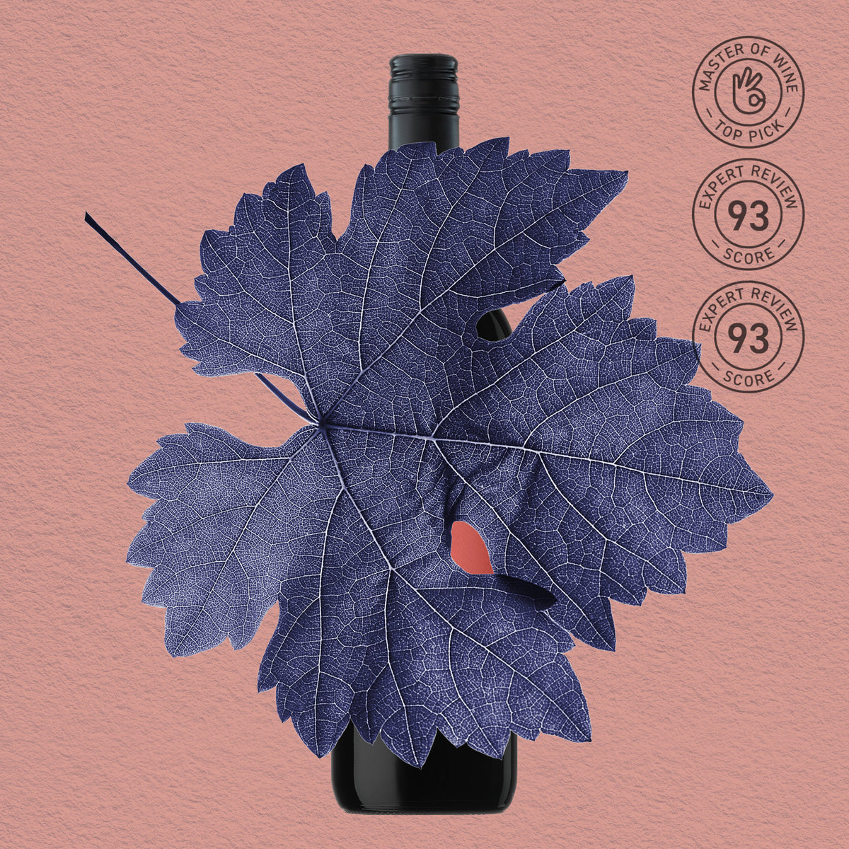 MYSTERY GEM | GREAT SOUTHERN, CABERNET SAUVIGNON 2021