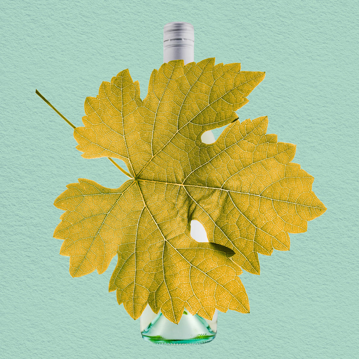 MYSTERY GEM | MARGARET RIVER, SAUVIGNON BLANC SEMILLON 2023