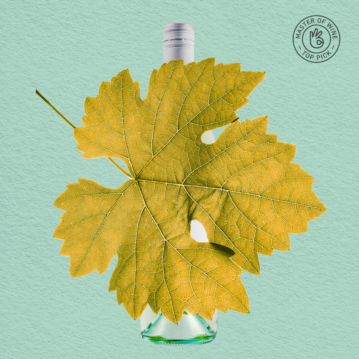 MYSTERY GEM | MARGARET RIVER, SAUVIGNON BLANC SEMILLON 2023