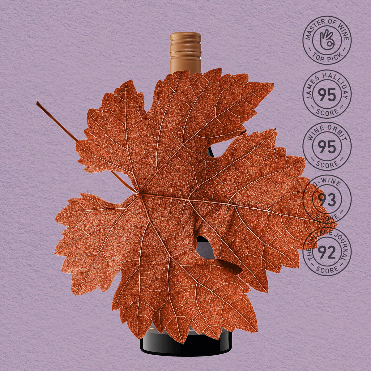 MYSTERY GEM | BAROSSA VALLEY, SAPERAVI 2023