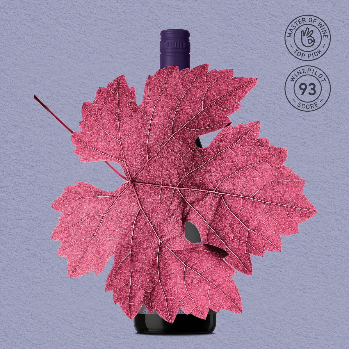 MYSTERY GEM | CENTRAL RANGES, PINOT NOIR 2025