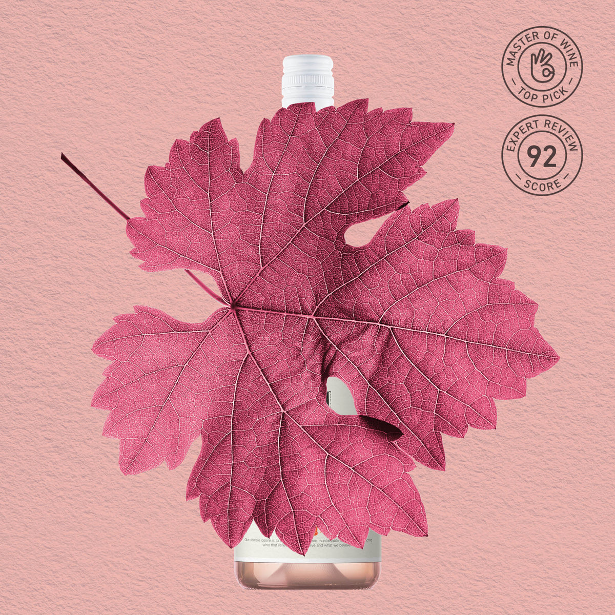 MYSTERY GEM | CENTRAL RANGES, ROSE 2023