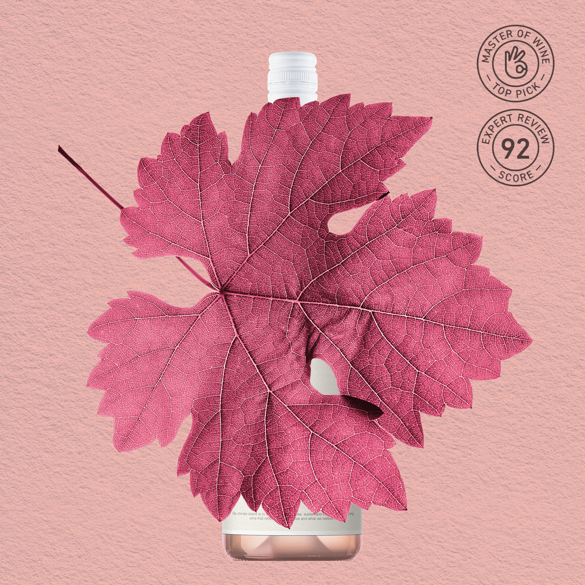 MYSTERY GEM | CENTRAL RANGES, ROSE 2023