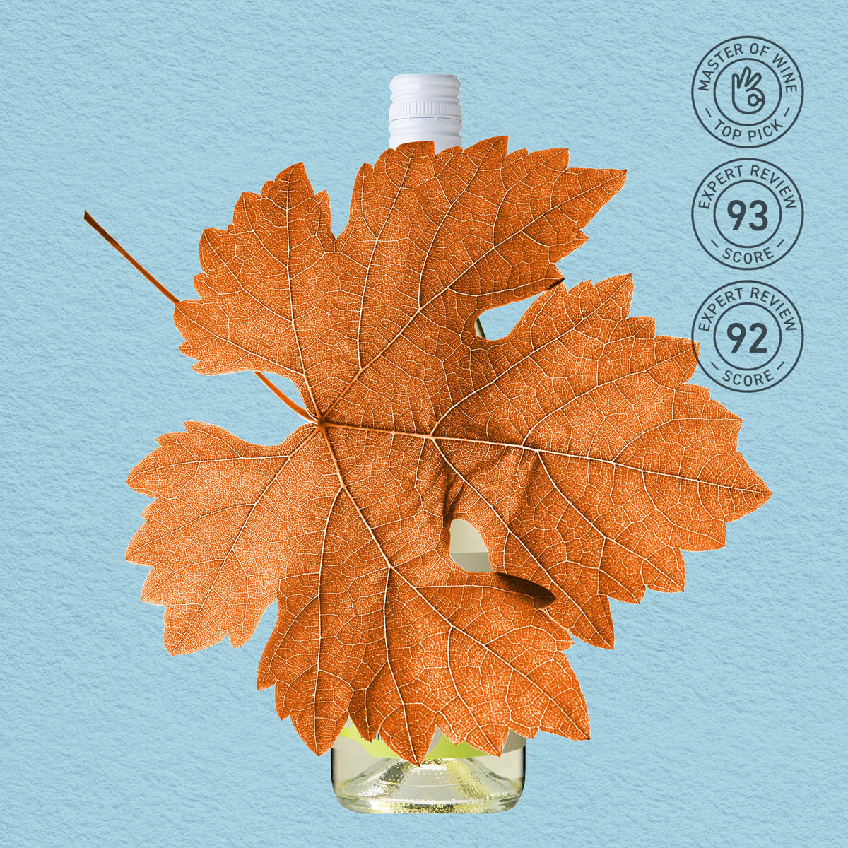 MYSTERY GEM | EDEN VALLEY, PINOT GRIS 2025