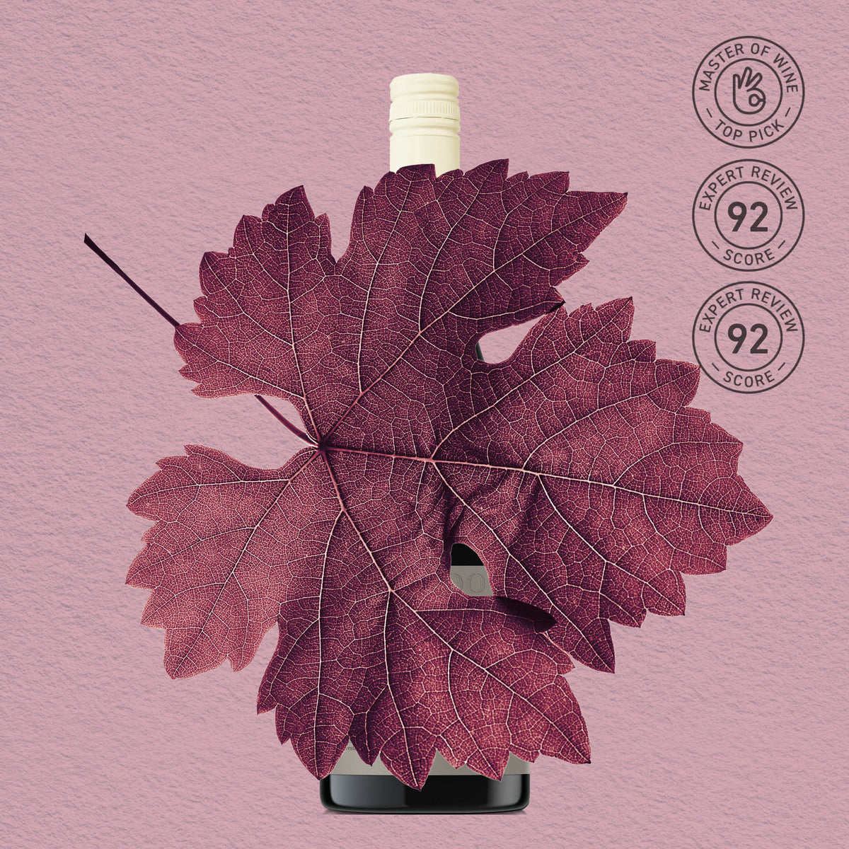 MYSTERY GEM | FERGUSON VALLEY, GAMAY 2023