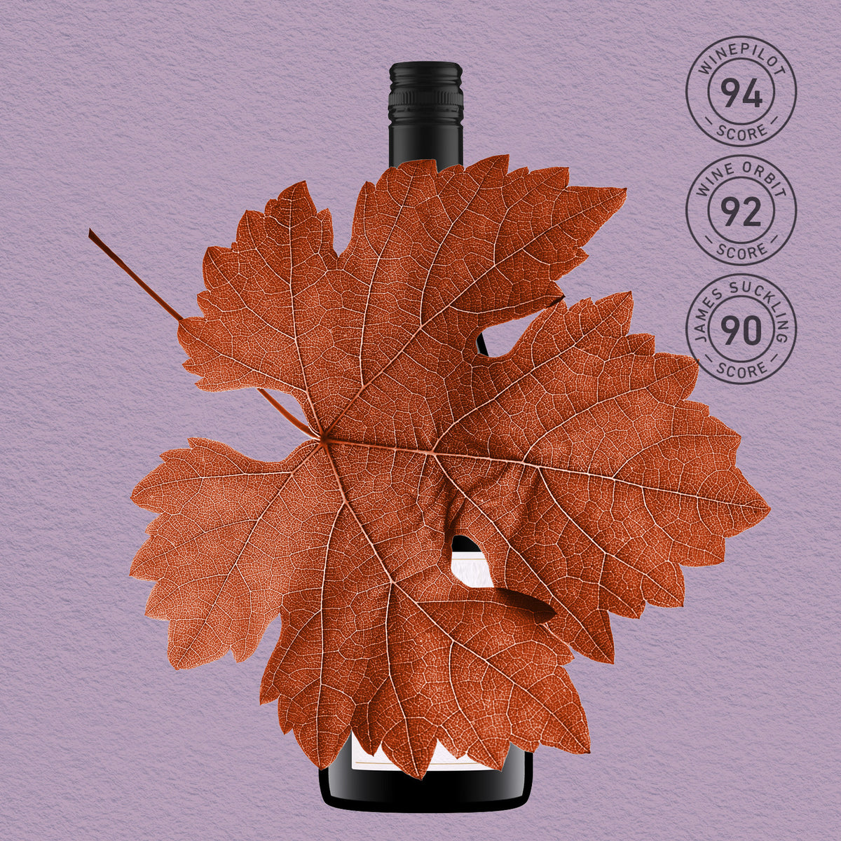 MYSTERY GEM I COONAWARRA, SHIRAZ 2022