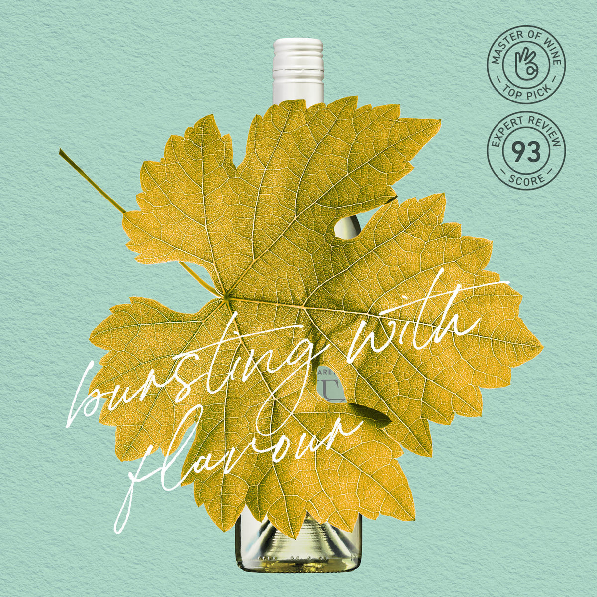 MYSTERY GEM | MARGARET RIVER, SAUVIGNON BLANC 2024