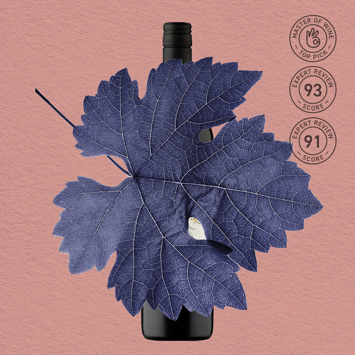 MYSTERY GEM | MCLAREN VALE, CABERNET SAUVIGNON 2021