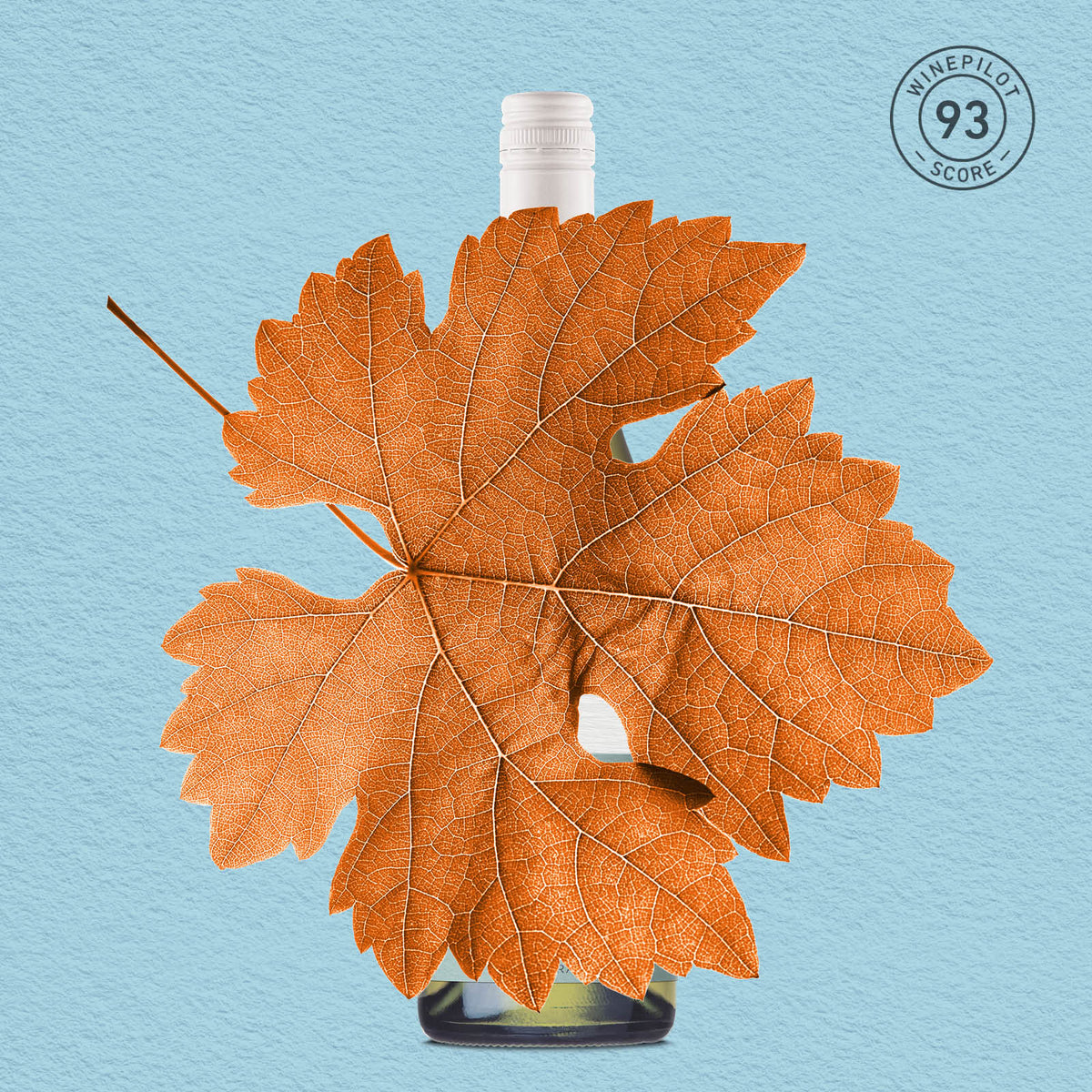 MYSTERY GEM | CENTRAL RANGES, PICPOUL BLANC 2025