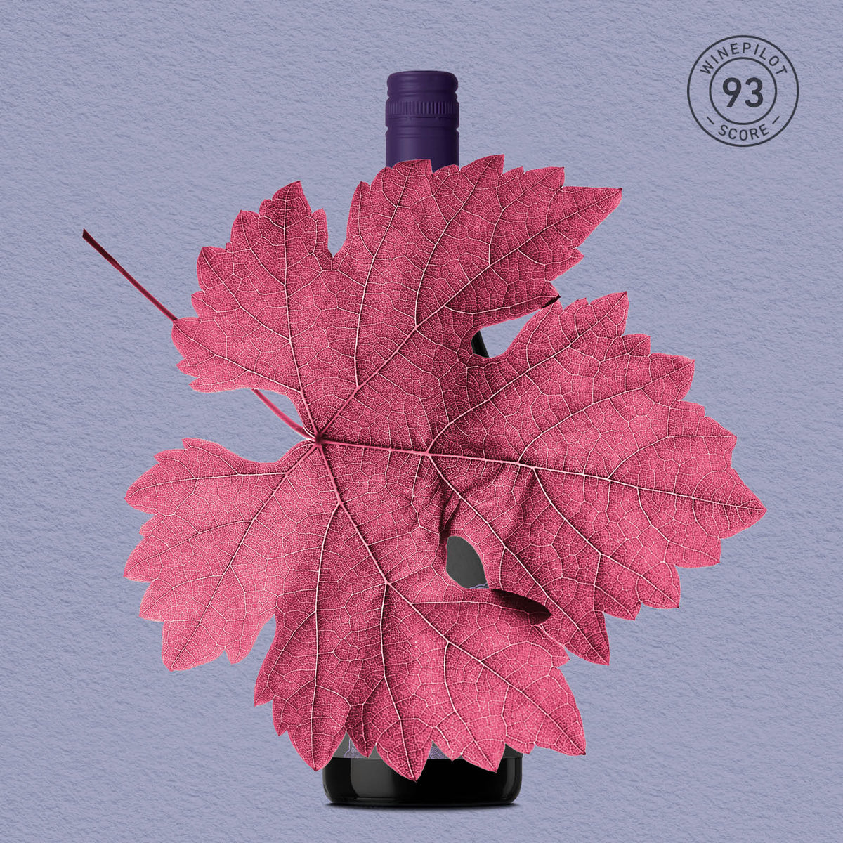 MYSTERY GEM | CENTRAL RANGES, PINOT NOIR 2025