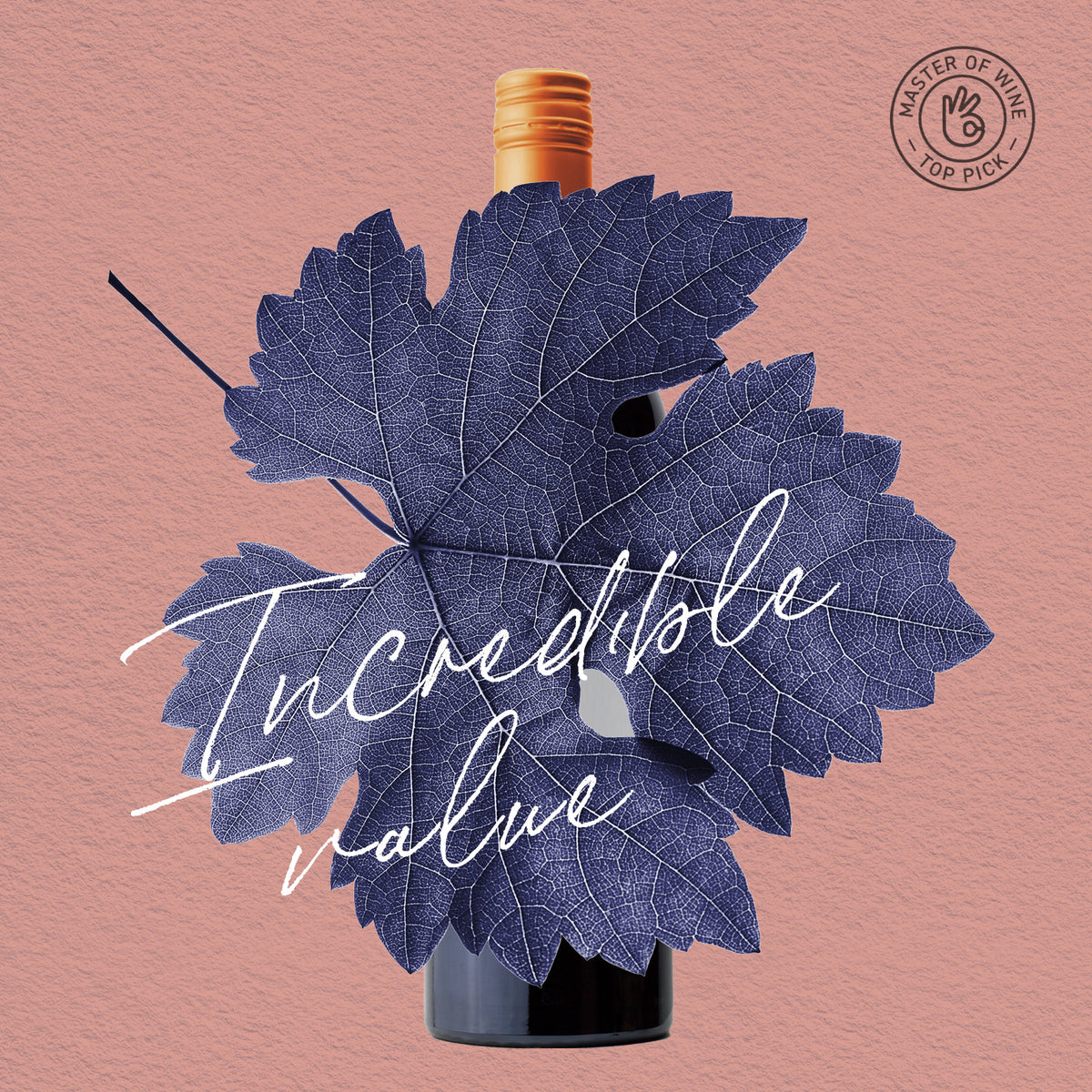 MYSTERY GEM | CLARE VALLEY, CABERNET SAUVIGNON 2021