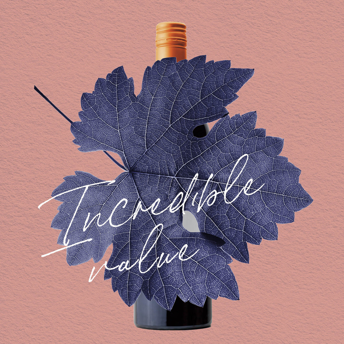 MYSTERY GEM | CLARE VALLEY, CABERNET SAUVIGNON 2021