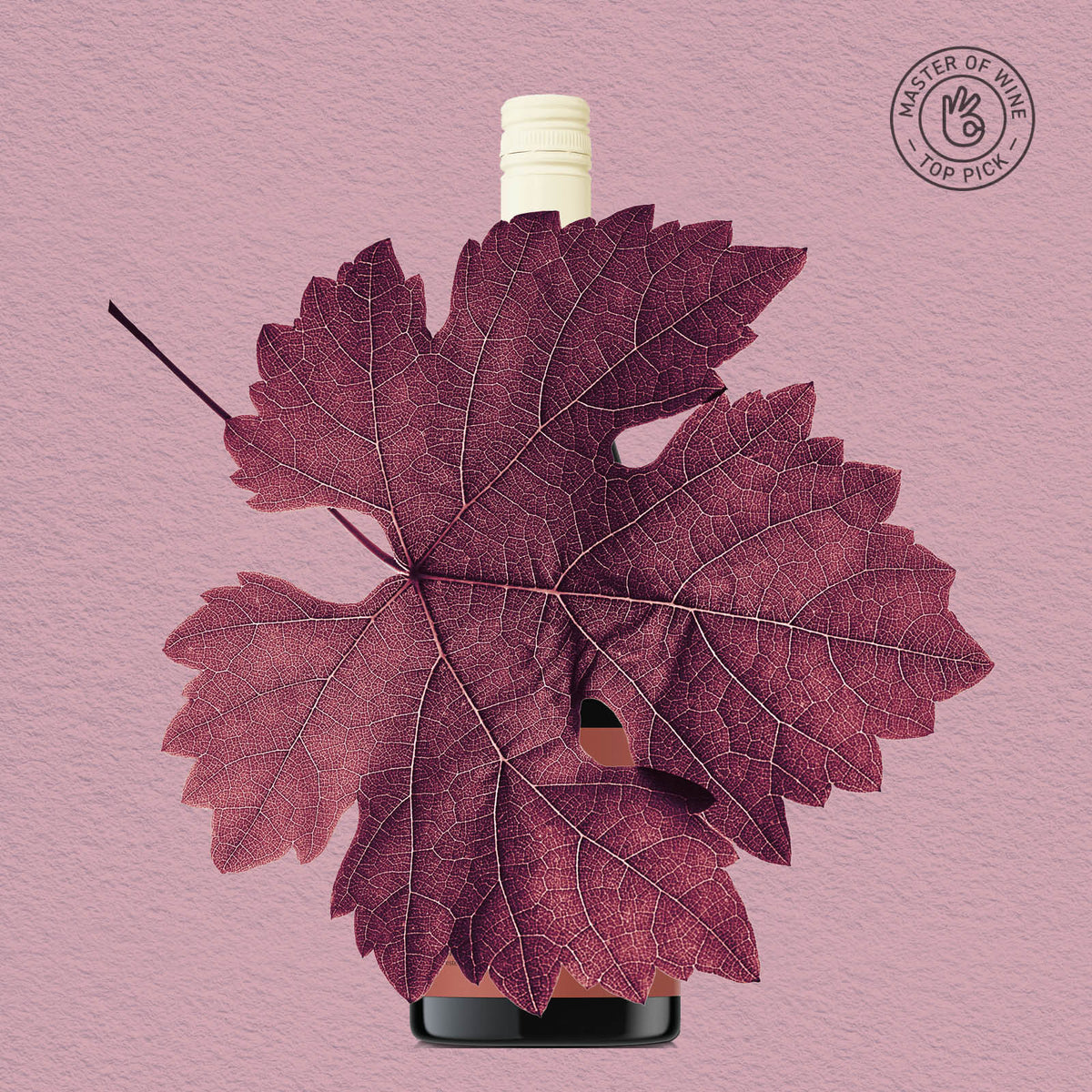 MYSTERY GEM | FERGUSON VALLEY, TEMPRANILLO 2023