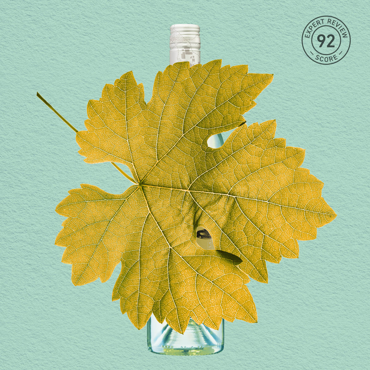 MYSTERY GEM | FRANKLAND RIVER, SAUVIGNON BLANC 2024