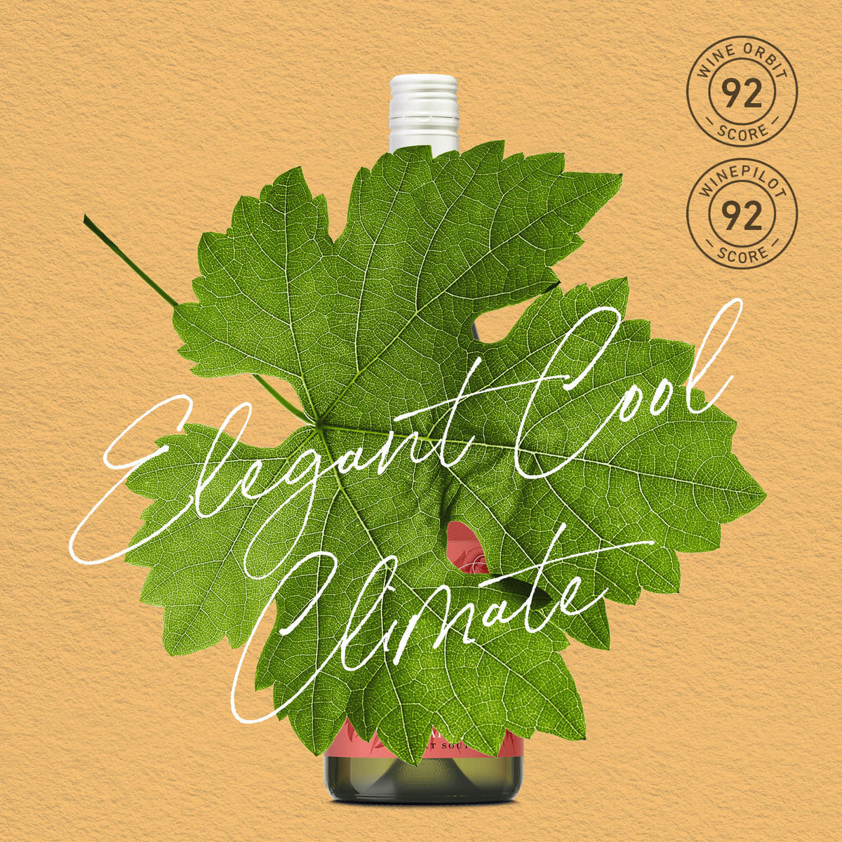 MYSTERY GEM | GREAT SOUTHERN, CHARDONNAY 2024