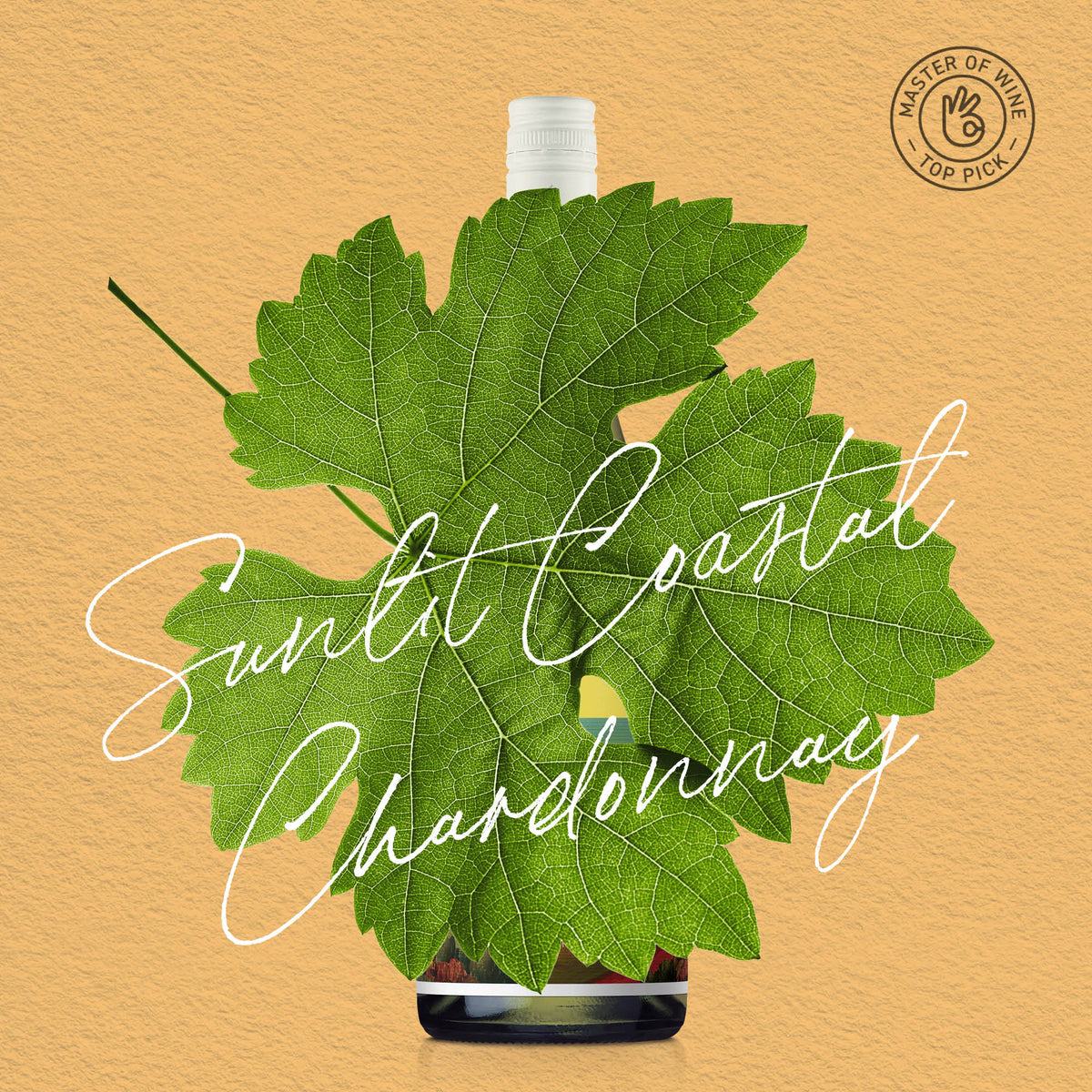 MYSTERY GEM | MARGARET RIVER, CHARDONNAY 2025